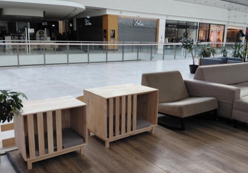 Psy w obiektach handlowych. Posnania rozszerza program Yes Pies