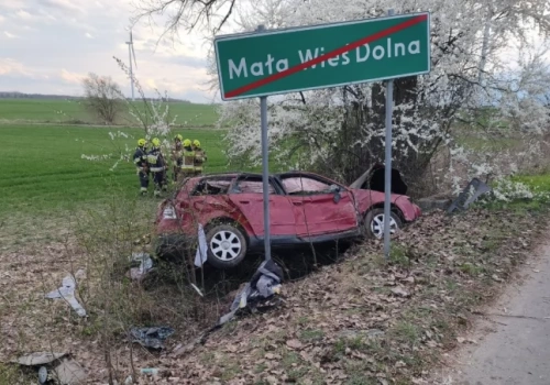 W śmiertelnym wypadku zginęła nastolatka. Kierowca został aresztowany