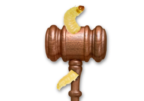 Zepsuty system kształci złych prawników. Jak to zmienić?