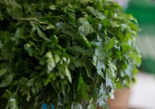 Nie wyrzucaj zwiędłej natki pietruszki. Możesz ją uratować w prosty sposób