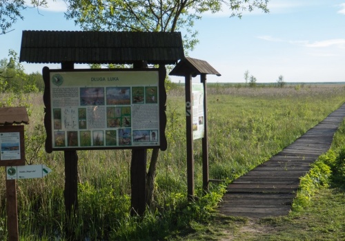 Turyści z Mazowsza utknęli na bagnach. Dramatyczna akcja ratunkowa