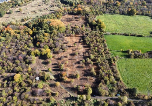 Obrońcy przyrody triumfują: SKO wstrzymuje inwestycję na Sarnim Stoku