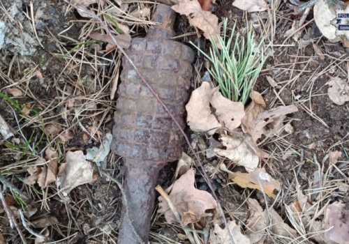 Częstochowa. W lesie znaleziono niewybuch. Na miejscu pracują służby