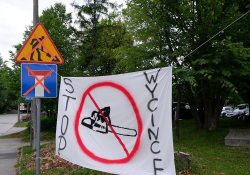 Nie będzie wycinki 500 drzew. Budowa 12 wieżowców i 10 hoteli wstrzymana