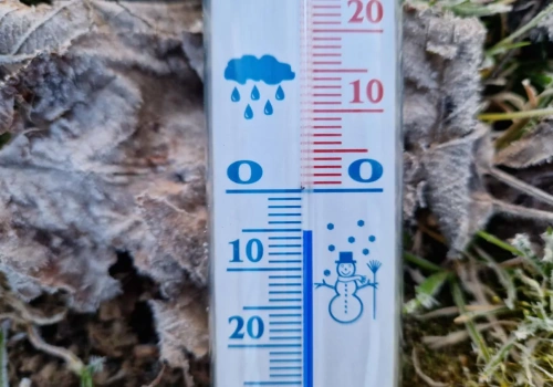 Najzimniejsza noc kwietnia przed nami – zabezpiecz uprawy!