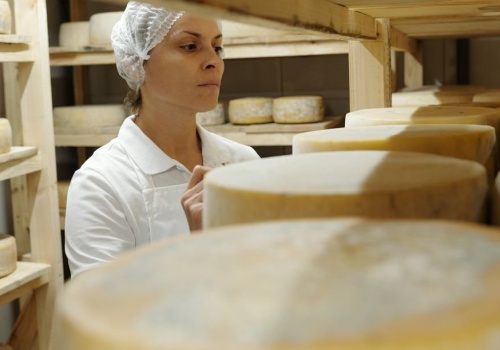 Dotacje na przetwórstwo 2026. Nawet 500 tys. zł dla rolników