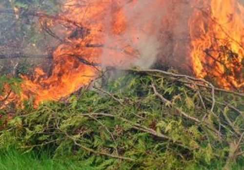 Sypią się wysokie mandaty. Kara to nawet 5 tys. zł