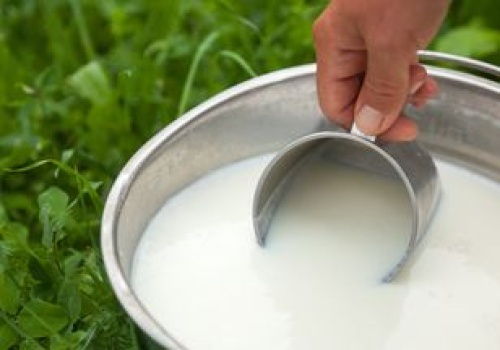 Wygląda jak zwykłe mleko. Ma więcej witamin niż krowie i wspomaga kontrolę cukru