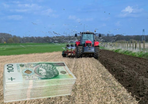 Ponad 110 ha ziemi do wzięcia. KOWR ogłasza przetarg