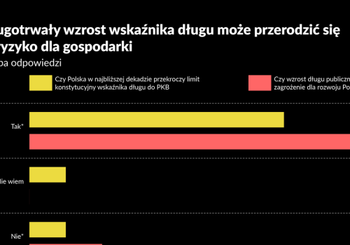 Dług dojdzie do limitu konstytucyjnego. Ekonomiści spierają się o skutki