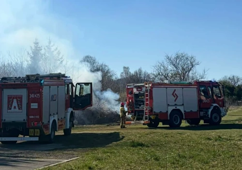 Pożar traw i odpadów przy ulicy Miłosza w Cieplicach