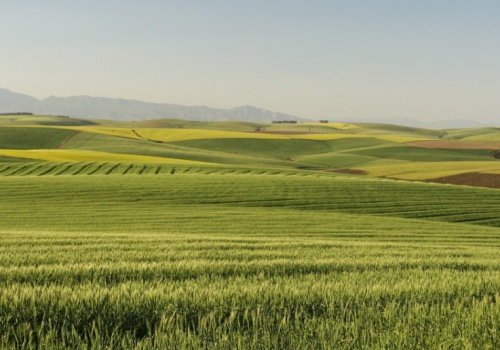463 hektary trafiły do magnata hotelowego. Rolnik podał jeden powód