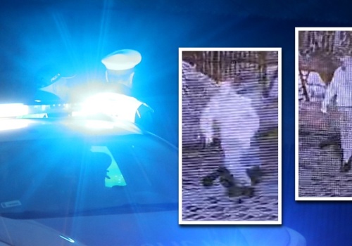 Tajemnicze poszukiwania nieznajomej. Policja pokazała nagranie