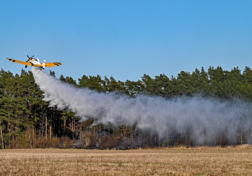 Strażacy i leśnicy ratowali las przed pożarem