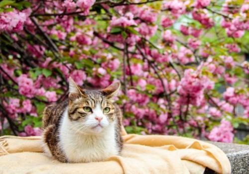 Pogoda na piątek | Słonecznie, ale dosyć chłodno