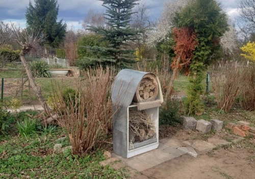 „Kupiłam murarki i zobaczyłam różnicę w plonach”. To tłumaczy modę wśród polskich działkowców