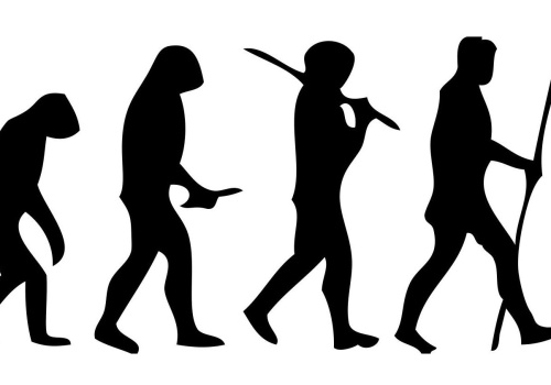 Świetnie zachowany szkielet neandertalczyka mówi nam coś istotnego. To był zaskakująco rozwinięty gatunek