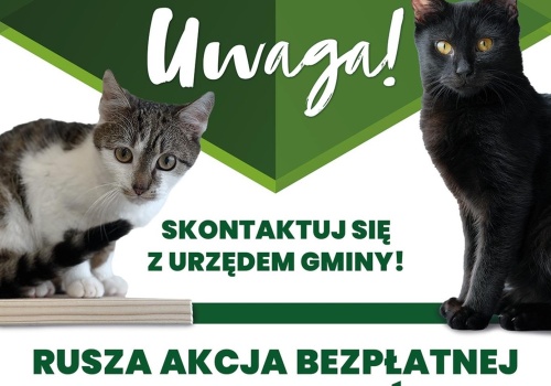 ZWIERZowa Akcja Kastracja w gminie Lanckorona