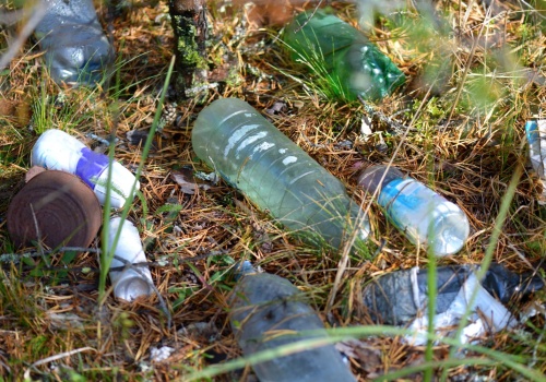 Jak codziennie dbać o środowisko?