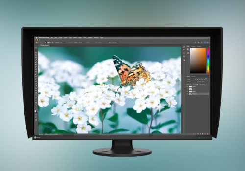 EIZO ColorEdge CS3200X - 31.5-calowy monitor 4K UHD ze sprzętową kalibracją i  gamutem AdobeRGB