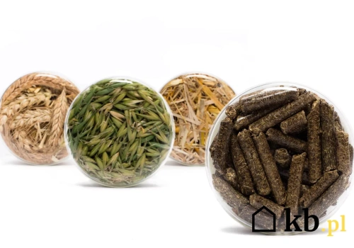 Pellet drożeje, więc sypią do pieca owies. Efekt nie zawsze jest taki jak by oczekiwali