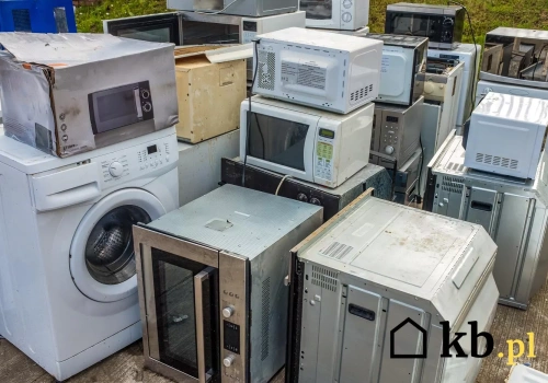 Ten „złom” z domu ma wartość. Skupy płacą za niego gotówką