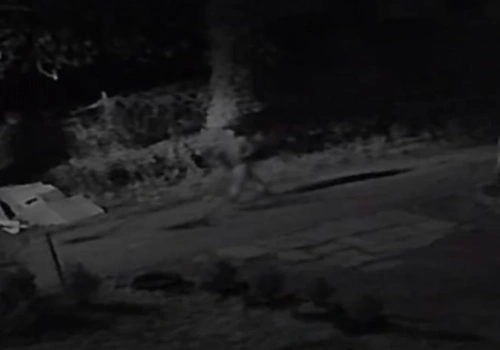 Podpalacz w Jeleniej Górze. Kamery uchwyciły jak podpalił śmietnik przy Poznańskiej