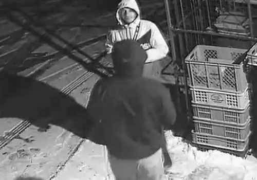 Uwaga! Włamanie i kradzież! Policja publikuje wizerunek sprawcy