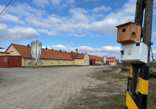 Bioasekuracja hodowli indyków w kontekście zagrożenia wirusem ptasiej grypy