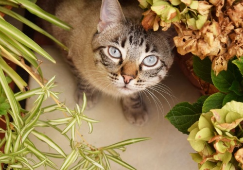 Pogoda na weekend | Słonecznie i umiarkowanie ciepło