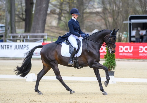 Strzegom Spring Open rozpoczęty. Ujeżdżenie otwiera sezon WKKW