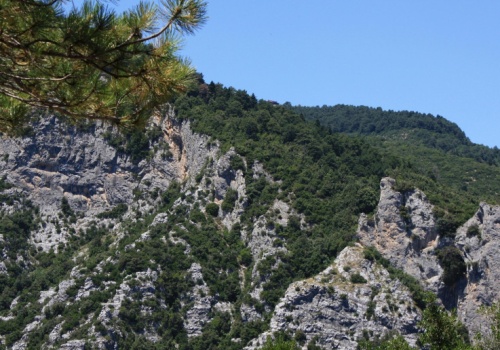 Plantacje bananów na Olimpie i gaj oliwny na poligonie. Skandal z dotacjami rolnymi w Grecji