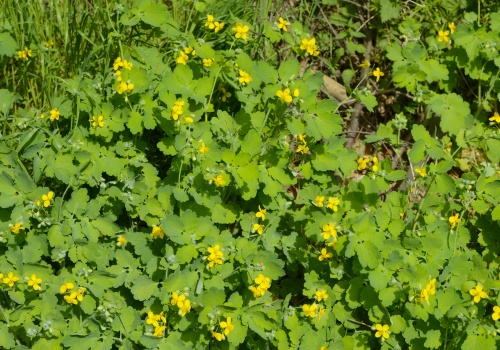 Żywność z tym składnikiem zniknie z półek. Od maja bezwzględny zakaz sprzedaży