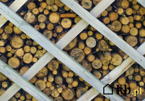 Grab, buk, brzoza czy dąb? Które drewno daje najwięcej ciepła