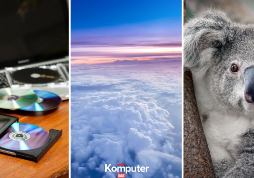 Trudny quiz dla umysłowej elity. 10/15 punktów tylko dla najlepszych