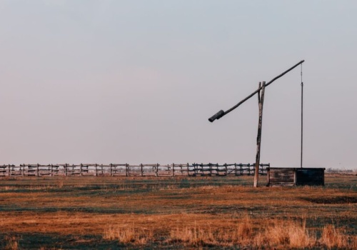 Wielbłądy w centrum Budapesztu. Upomnieli się o przemilczany problem Węgier