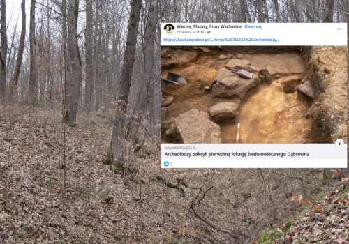Niemieckie media o znalezisku w Polsce. 