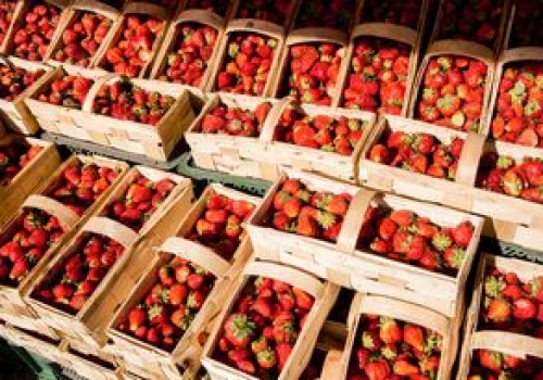 Zaskoczyły ją ceny truskawek w czeskim Lidlu. Tyle kosztują