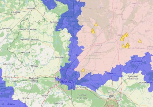 Śmiertelny wirus stwierdzono u dzików w regionie. Niesie to poważne konsekwencje gospodarcze