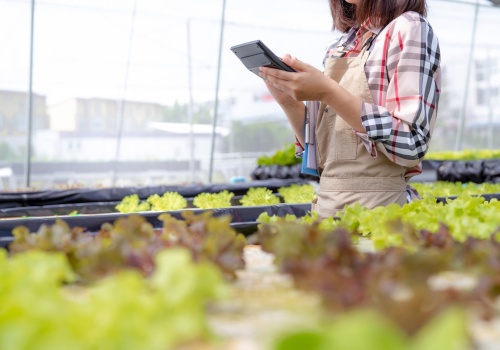 Składki KRUS 2026. Rolnicy muszą pilnować nowych stawek