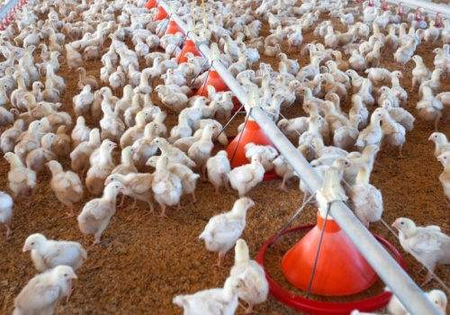 Planowanie przestrzenne nie ochroni funkcji produkcyjnej wsi?