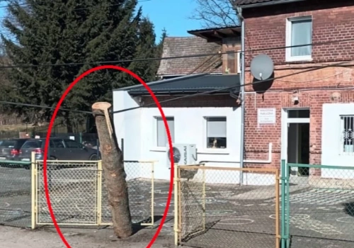 Niebezpieczny incydent przy szkole w Rząsinach. Z przejeżdżającej ciężarówki spadła bela drewna