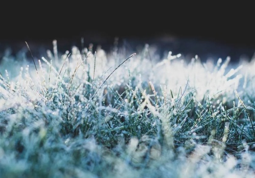 Nadchodzą mroźne noce. Jest ostrzeżenie dla 15 województw