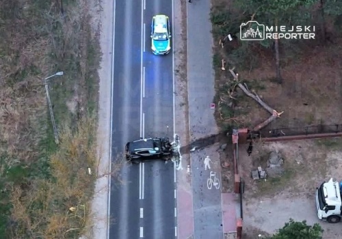 Kierowca lexusa uderzył w drzewo. Ojciec z córką trafili do szpitala