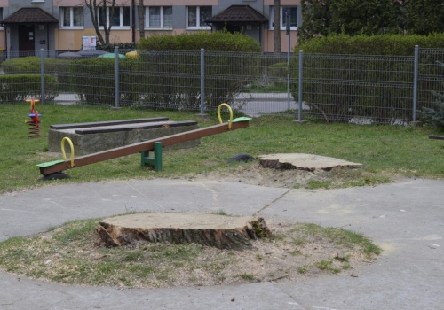 Wycinka wierzb na placu zabaw w Tarnowie. Rodzice oburzeni, miasto mówi o zagrożeniu.