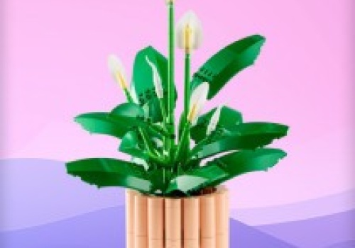 Zestaw LEGO Botanical Collection Skrzydłokwiat za 169 zł (cena kat. 259 zł) na Allegro