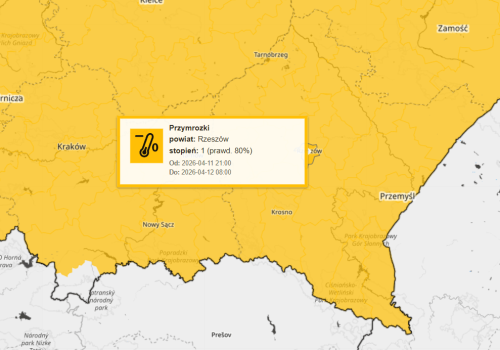 Nadchodzą spore przymrozki. IMGW wydało ostrzeżenie dla Podkarpacia