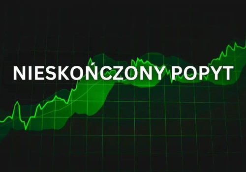 Akcje tej spółki rosną tak szybko jak walory NVIDIA. Mało kto o niej mówi, a Wall Street wycenia ją jeszcze wyżej