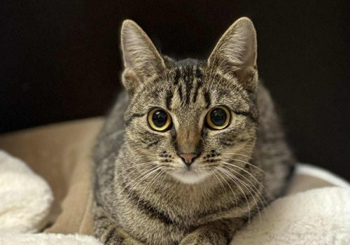 Konin. Czekają, może właśnie na Ciebie