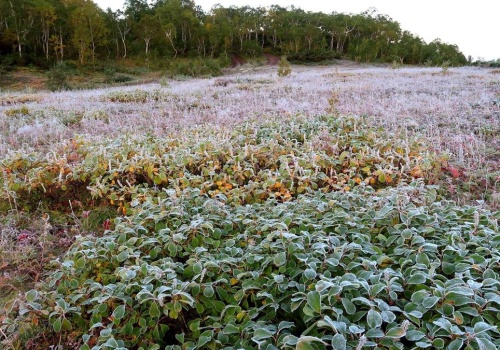 Niemal w całej Polsce chwyci mróz. Zacznie się za kilka godzin